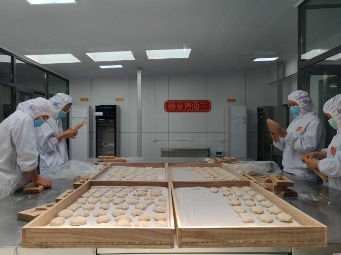 向盐碱地要良田 向盐碱地要粮食 沧州奋力向“仓”州(图5)