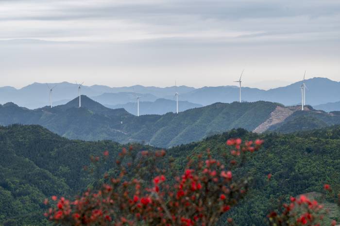 浙江金华:高山风电助力低碳减排(图1)