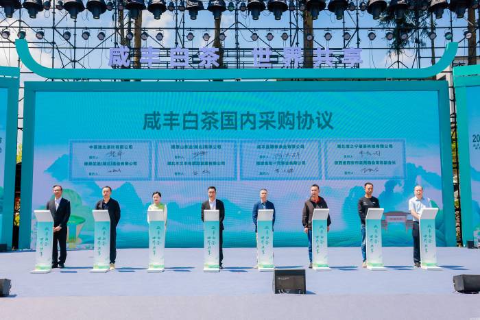“咸丰白茶”区域公用品牌正式发布(图3)