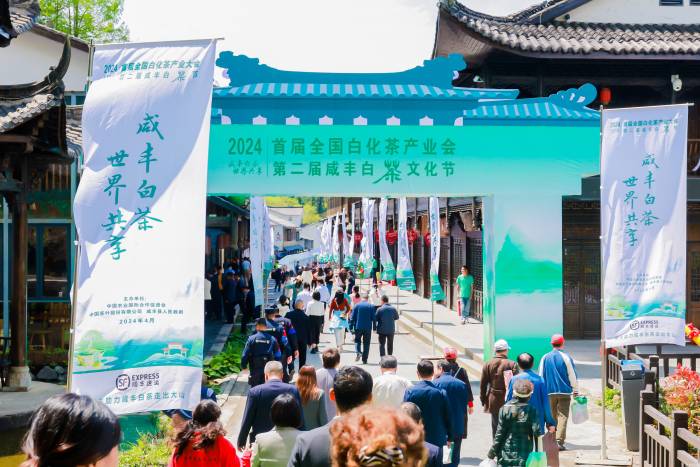 “咸丰白茶”区域公用品牌正式发布(图4)