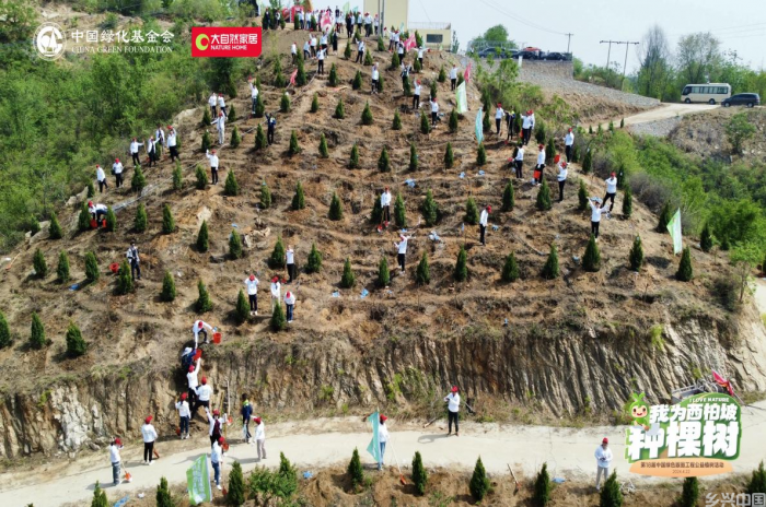 植绿增绿护绿，让中国更美丽 ——中国绿化基金会开展世界地球日系列主题公益宣传活动(图2)