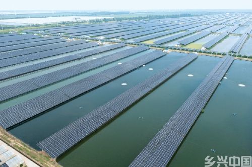 上海市崇明区：科技赋能　绿色发展(图1)
