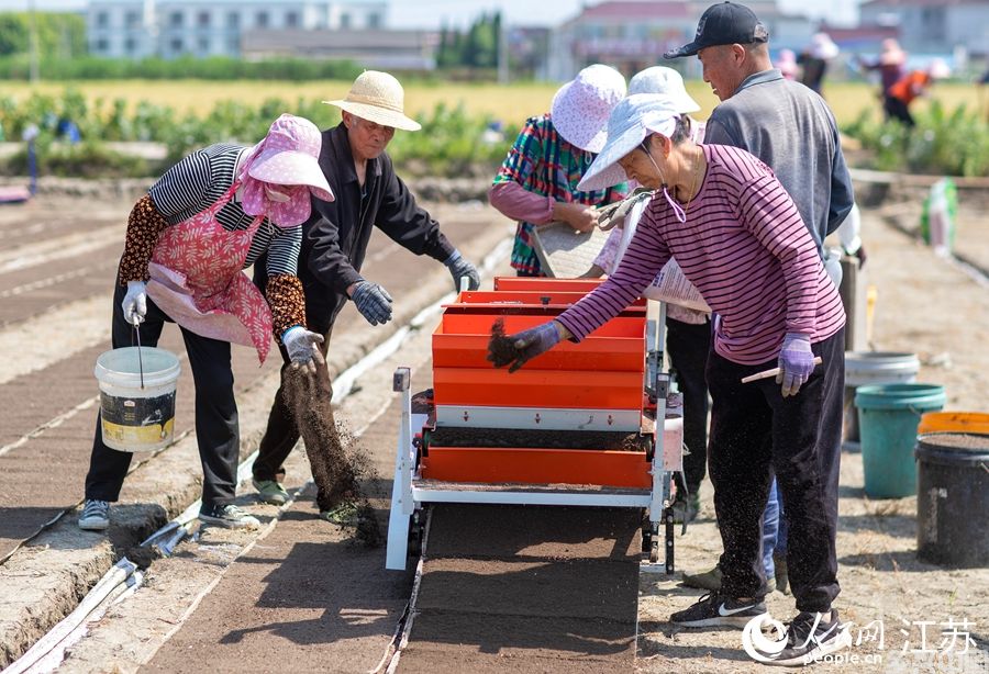 农民们操作育秧机。人民网 范尧摄