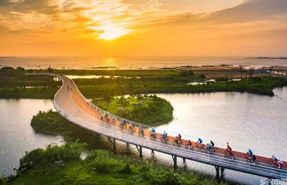 漫步日照阳光海岸绿道(图3)