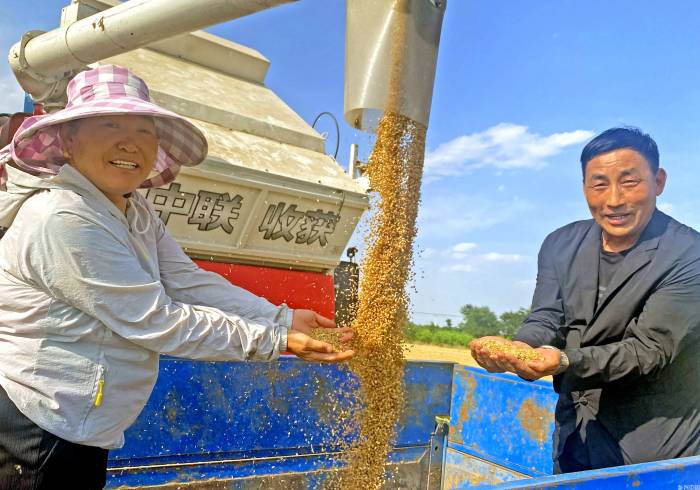 从南到北，看三夏进行时(图8)