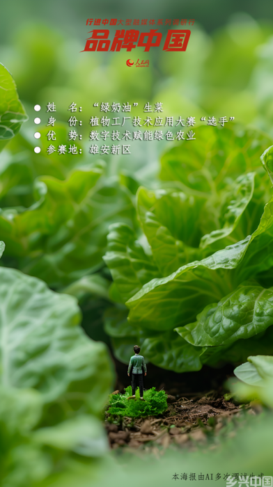 植物工厂“出战”雄安(图1)