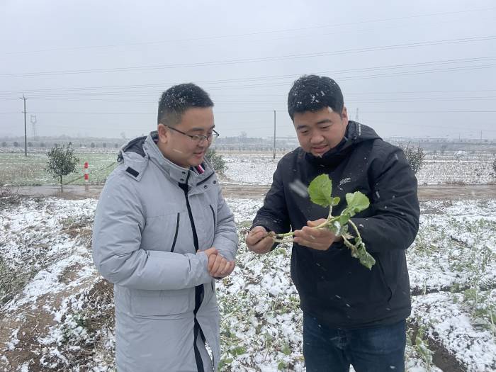 当年轻人决定去种地(图2)