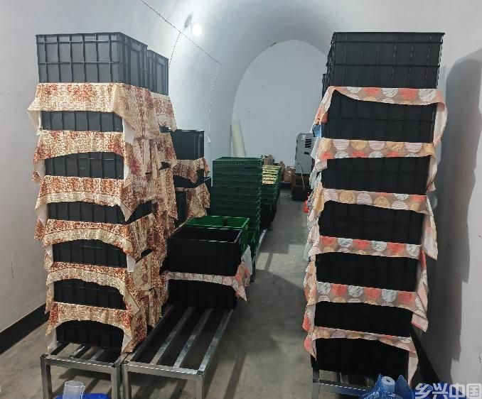 山西：一群老师“搞”农业 闲置窑洞发新芽(图2)