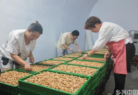 山西：一群老师“搞”农业 闲置窑洞发新芽(图1)