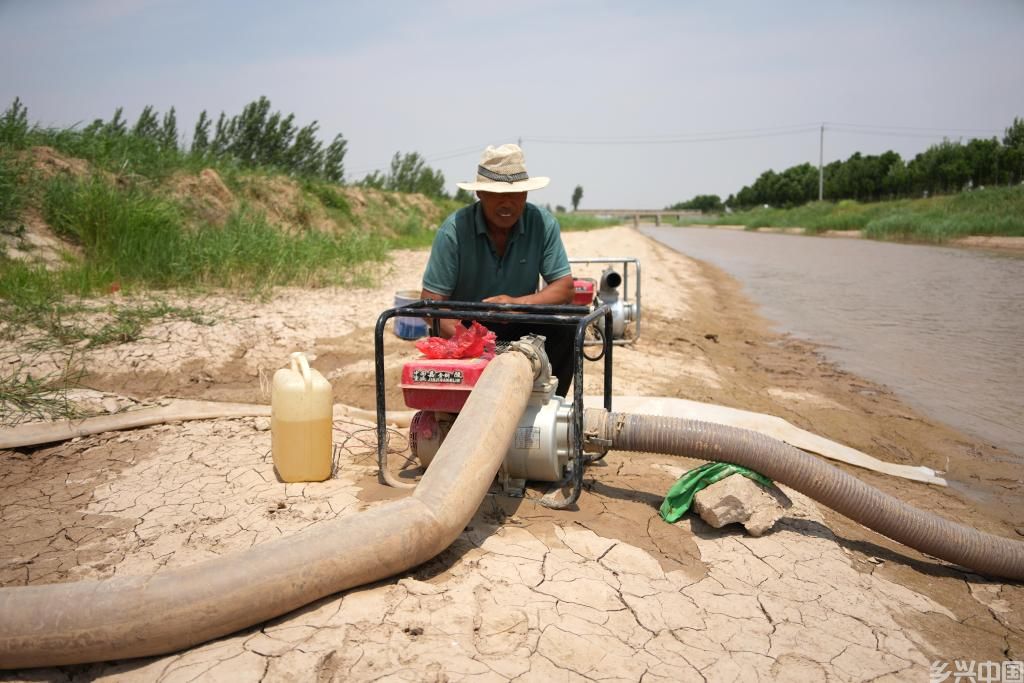 引水、调水、节水——山东菏泽抗旱保灌一线见闻(图1)