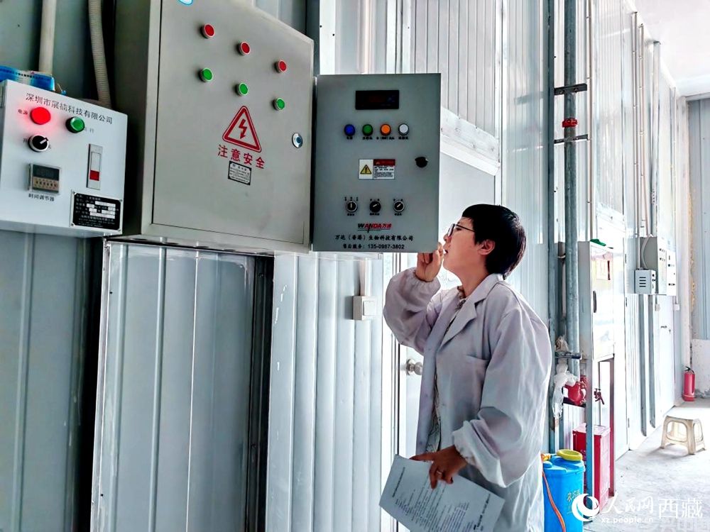 食用菌银耳首次试种成功(图4)
