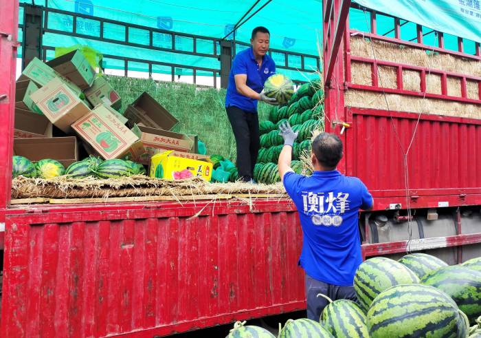 新发地制冰场日供千吨冰块让蔬菜“鲜到家”，西瓜量大价低(图3)