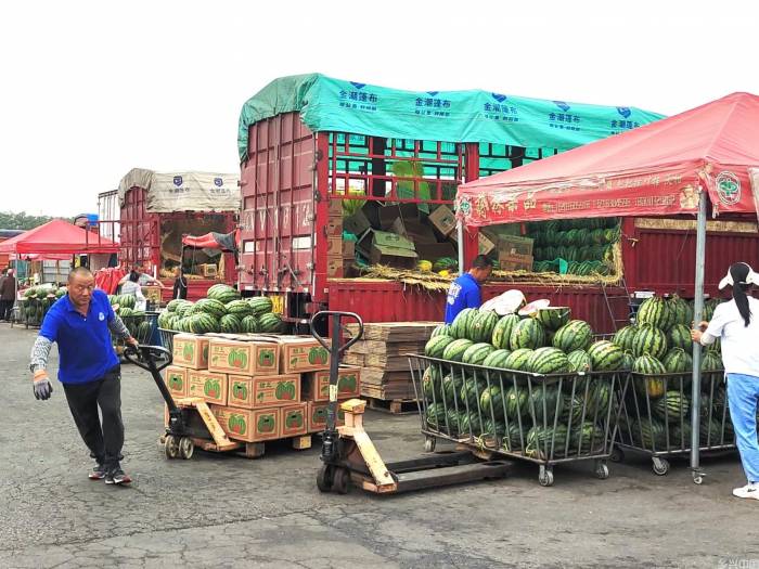 新发地制冰场日供千吨冰块让蔬菜“鲜到家”，西瓜量大价低(图4)