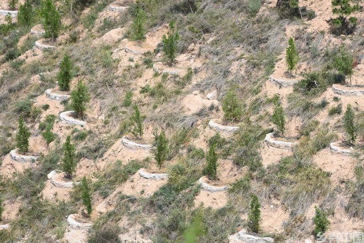 西北小城富平的治水之路(图11)