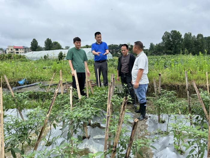 抗洪救灾,中国农科院蔬菜产业专家团在行动(图2)