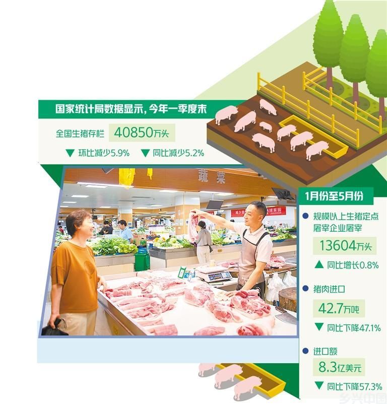 猪价上升周期来了吗(图1)
