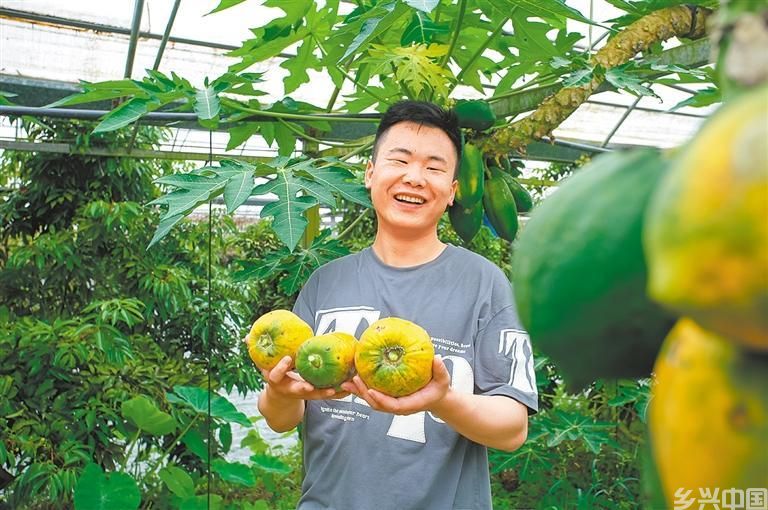 智慧农业(图2)