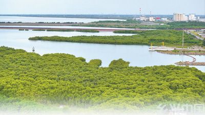 加强海洋国际合作 共同守护蓝色家园(图1)