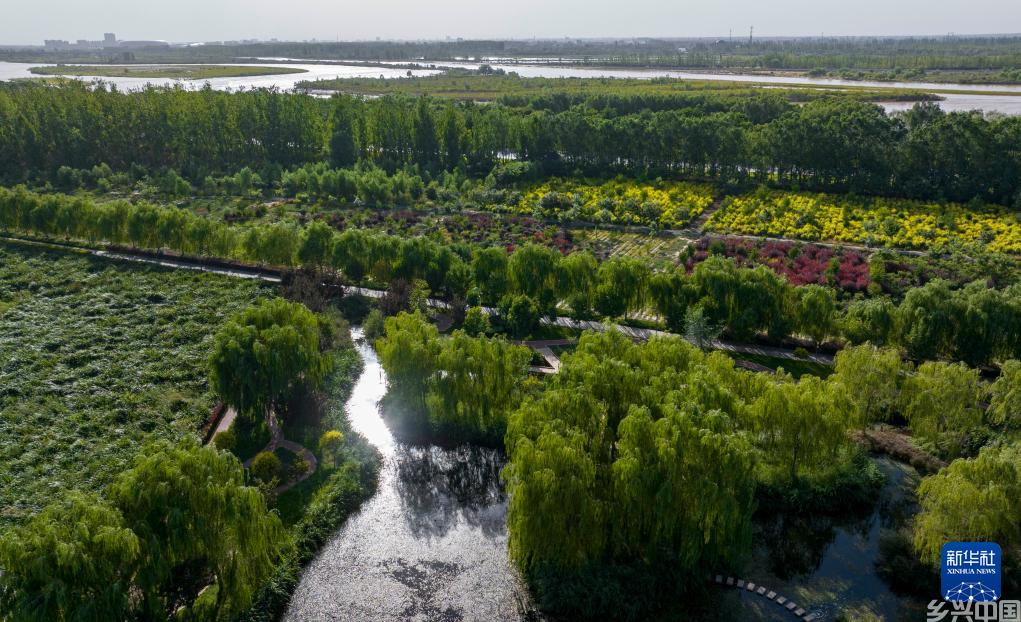 宁夏吴忠：打造人工湿地 守护母亲河(图5)