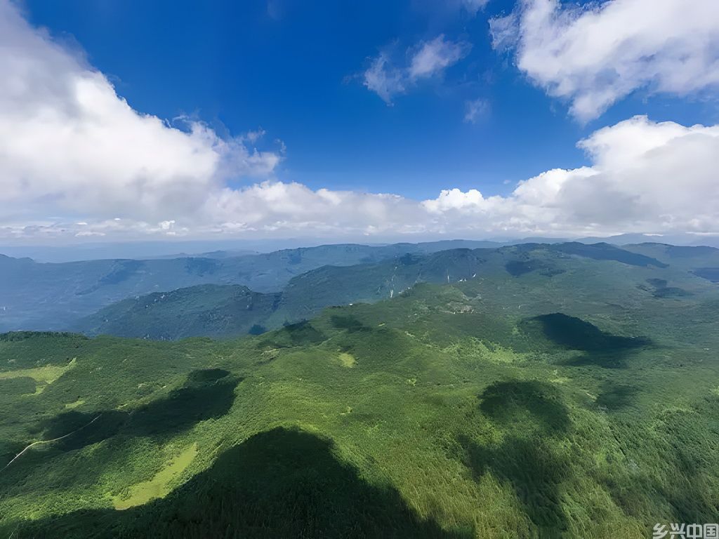 这是8月8日拍摄的重庆雪宝山国家级自然保护区(无人机照片)。新华社记者 黄伟 摄