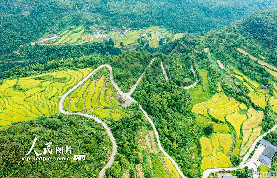 湖南东安:山乡“丰”景如画【5】