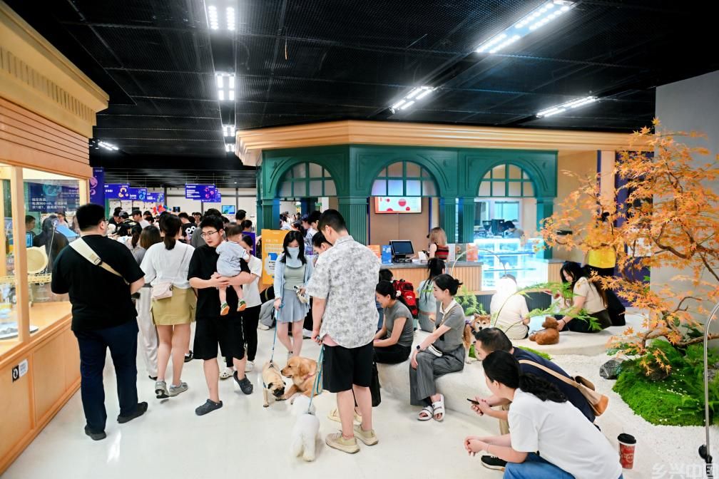 激发消费活力 带动提质升级——首发经济向“新”力观察(图2)