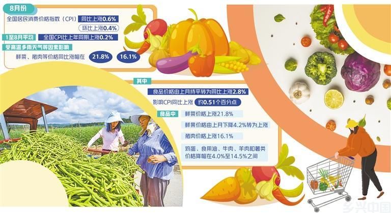 双节将至菜篮子准备好了吗——山东地区蔬菜价格调查(图1)