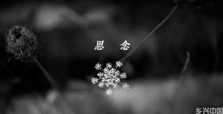 搜狗高速浏览器截图20240911133310.png