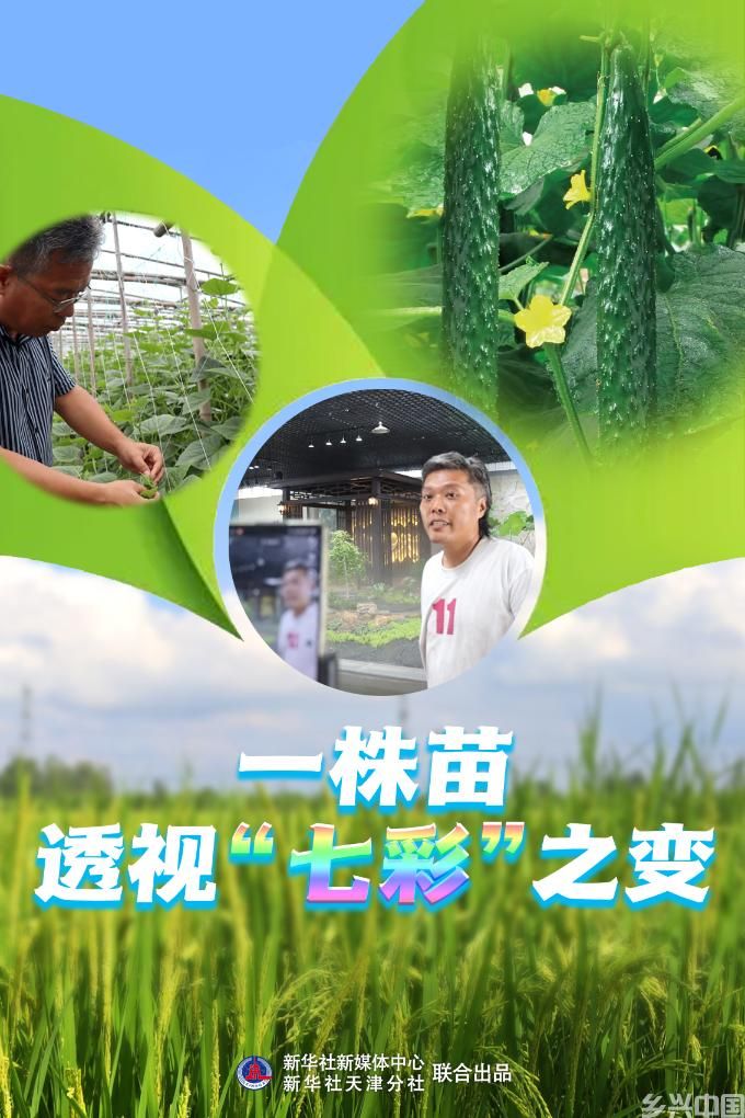一株苗透视“七彩”之变(图1)