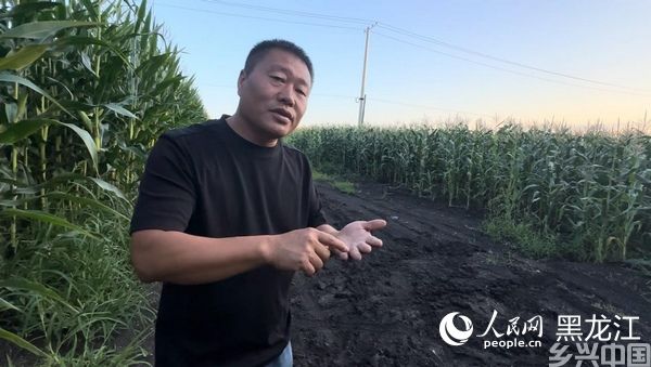 黑龙江依安：探索“农村三问”解题之道 切实提高农民收入(图1)