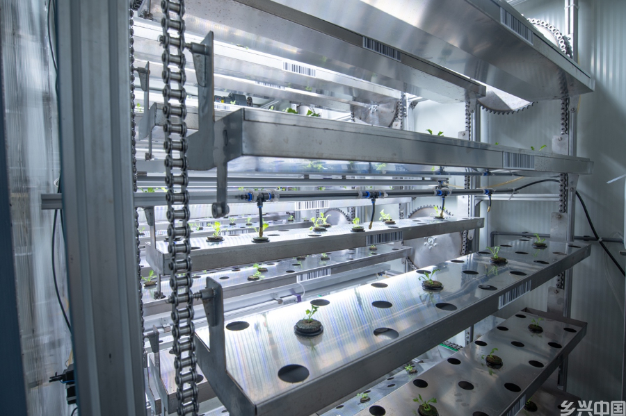 聚焦农业科技创新：植物工厂种出“智慧菜”(图3)