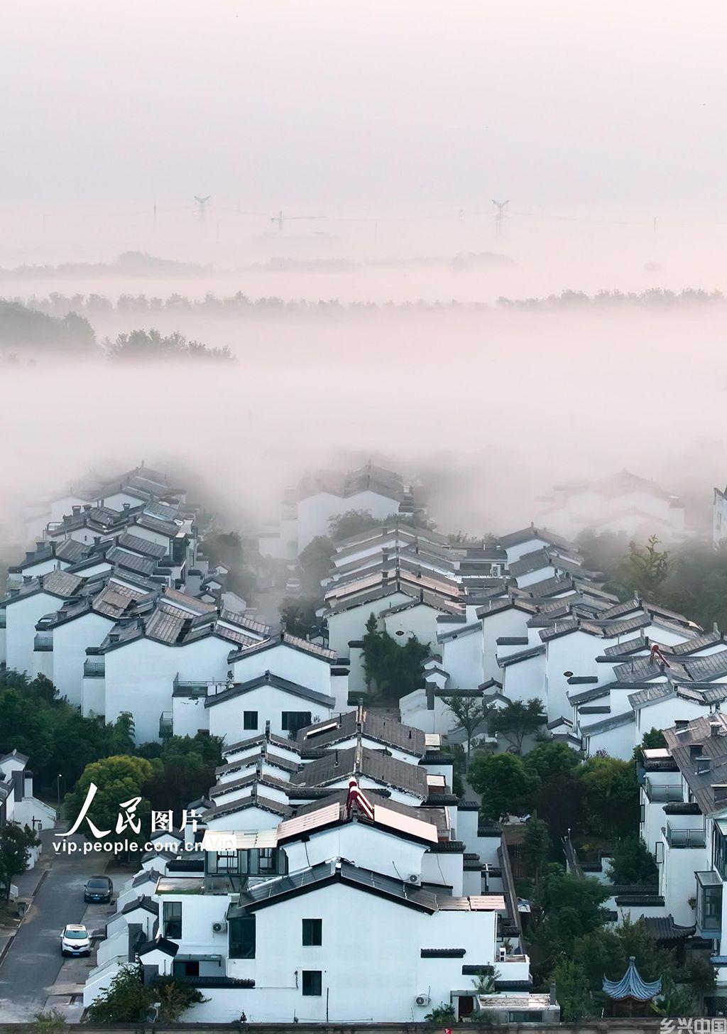 江苏泗洪：汴水人家美如画【2】