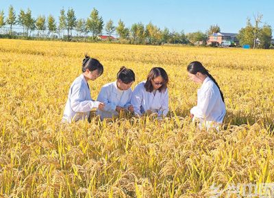 科技小院传播农技:下得田间地头 赢得村民信任(图1)