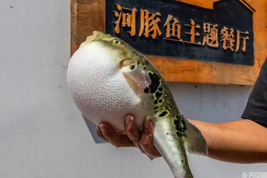 美食搭桥 文化赋能 唐山旅游业驶入高质量发展快车道(图5)