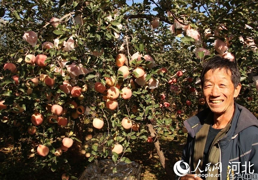 岗底村果树种植高级技师杨双奎和他种植的苹果树。人民网记者 祝龙超摄