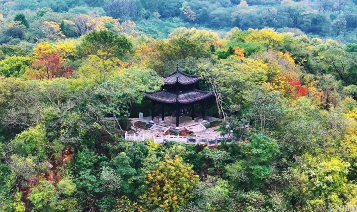 安徽池州：色彩斑斓 冬景如画(图2)
