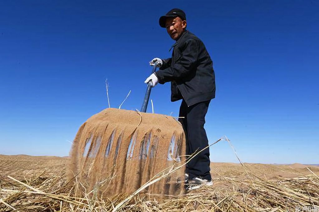 11月16日,在民勤县东湖镇境内的腾格里沙漠西缘,工人进行工程固沙。新华社记者 范培珅 摄
