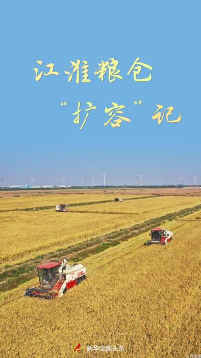 江淮粮仓“扩容”记(图1)