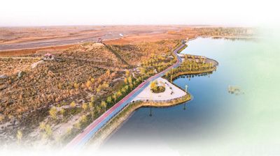 3046公里“绿围脖”，护好塔克拉玛干沙漠(图2)