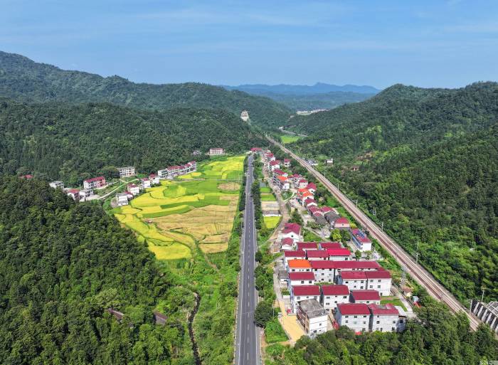 推动农村公路高质量发展 绘就乡村振兴新图景(图1)