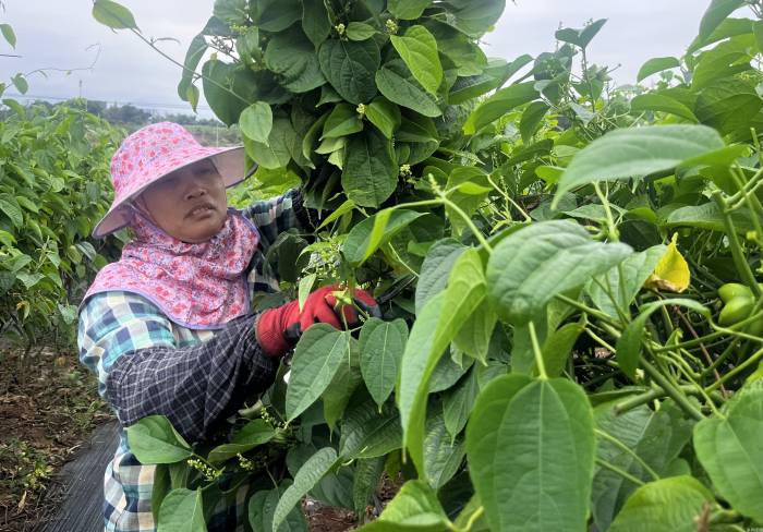 守牢底线防返贫(图1)