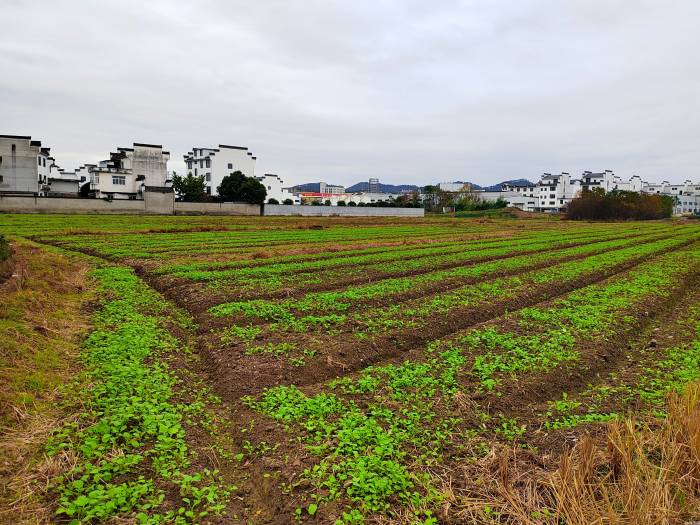 沃土良田米粮川(图4)
