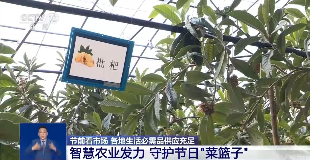 市场迎来消费高峰 “米袋子”“菜篮子”满满当当(图8)