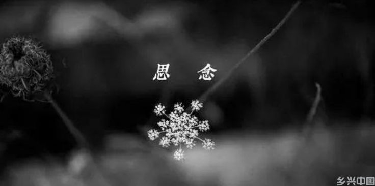 搜狗高速浏览器截图20250103141616.png