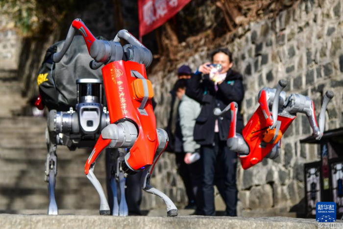 机器狗再登泰山(图1)