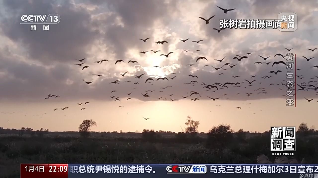 如何了解黄河生态之变？看看这些鸟儿就知道(图9)