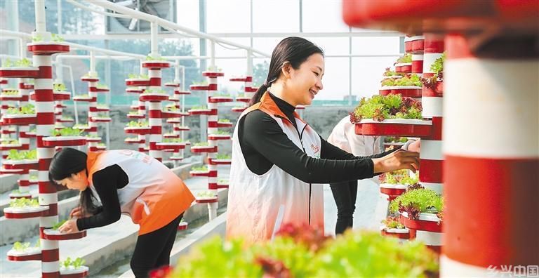 冬管正当时(图5)