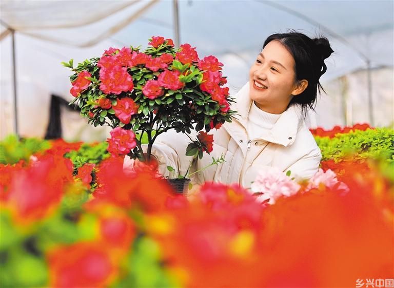 繁花迎春(图2)