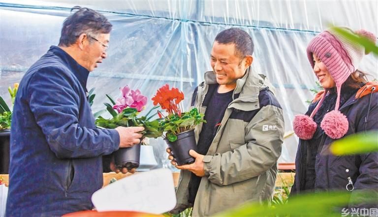 繁花迎春(图5)