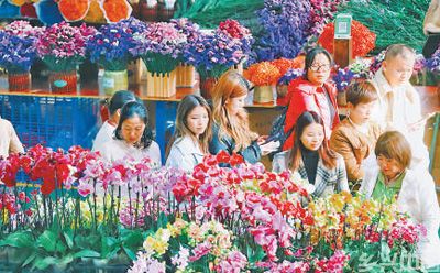到大自然去，拥抱多样的冬天(图3)